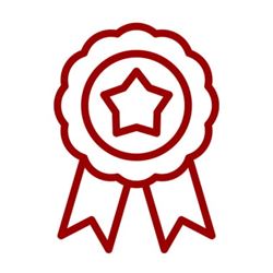 Recognition Ribbon Icon