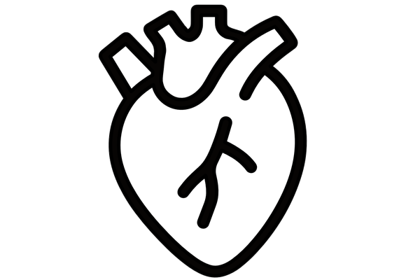 Illustration of human heart